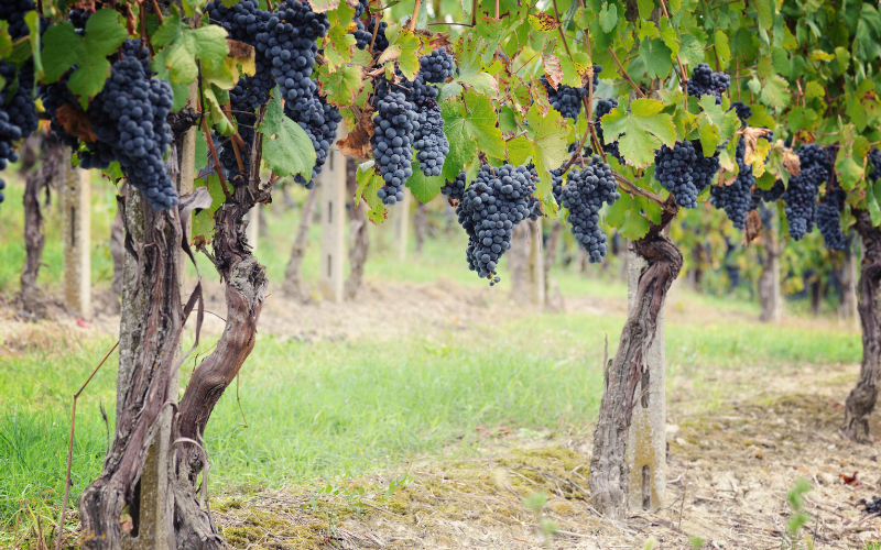 Tailgate | Mothballing Round Table